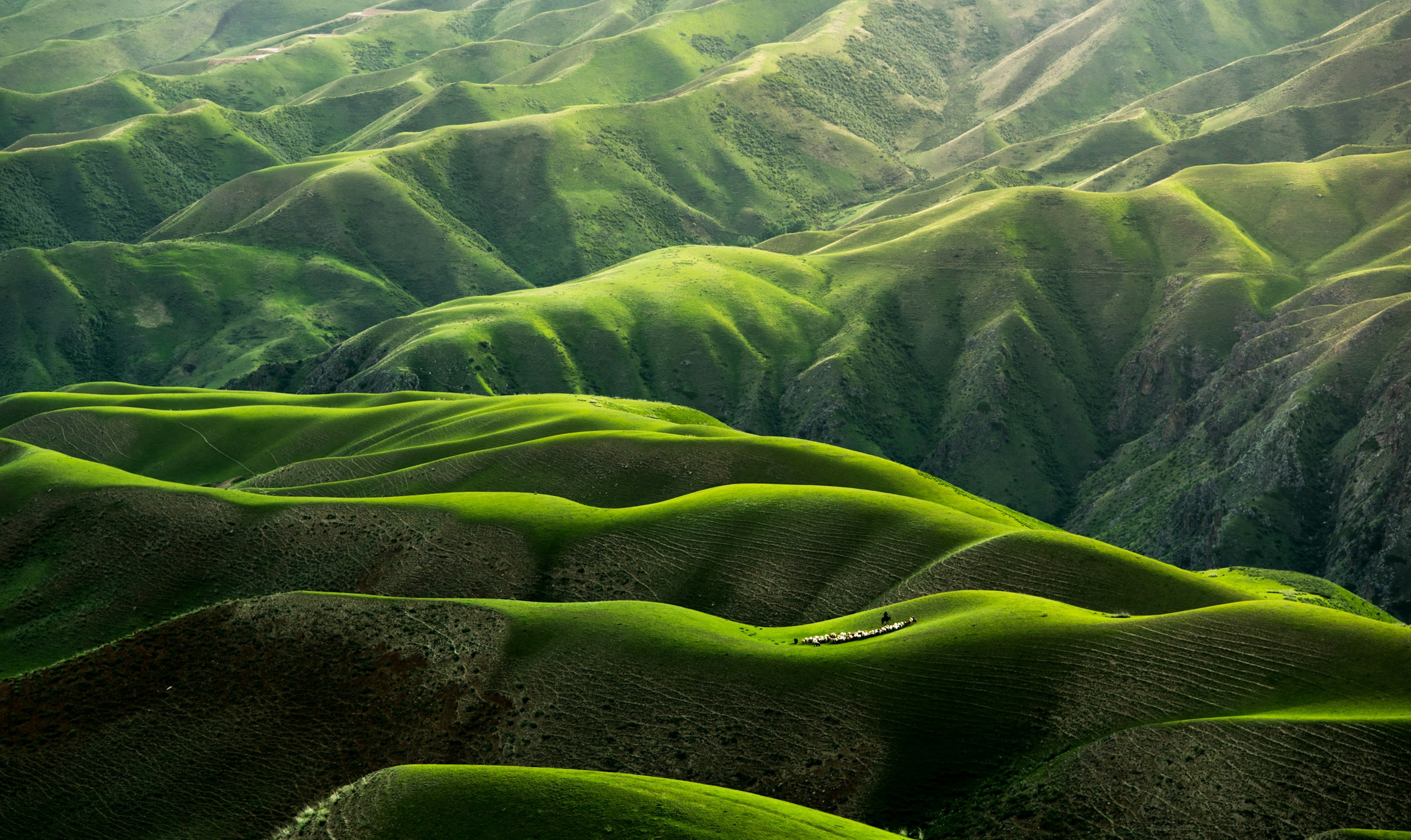 Green mountain ridges seen from above